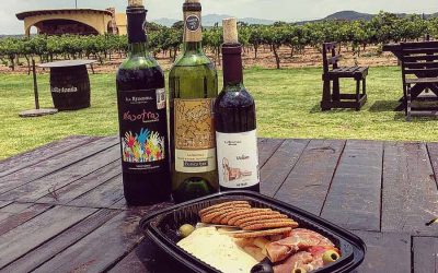 Viñedos en Tequisquiapan ¿Cuáles son ?