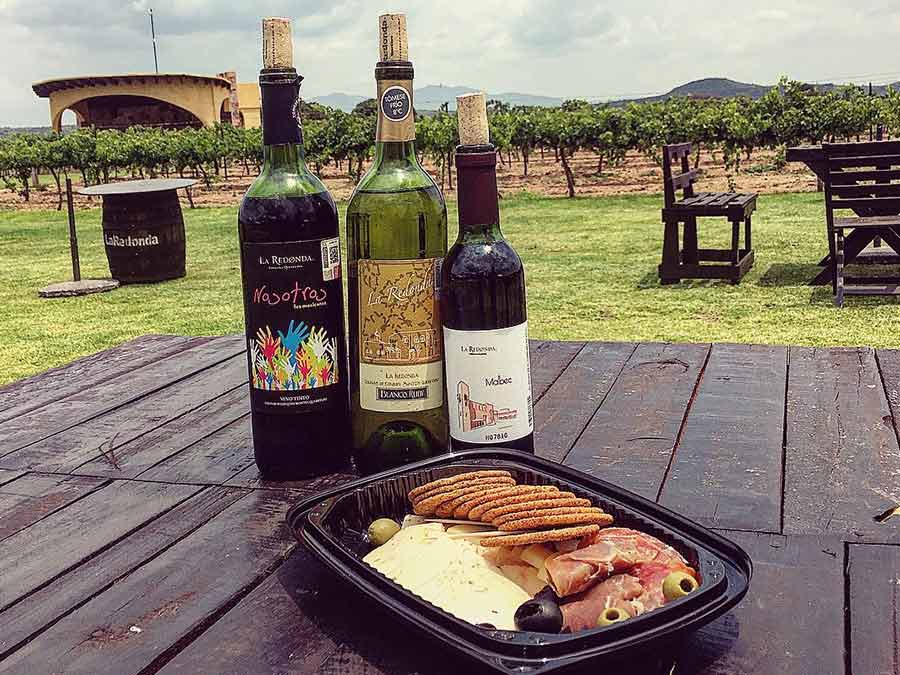 Viñedos en Tequisquiapan ¿Cuáles son ?